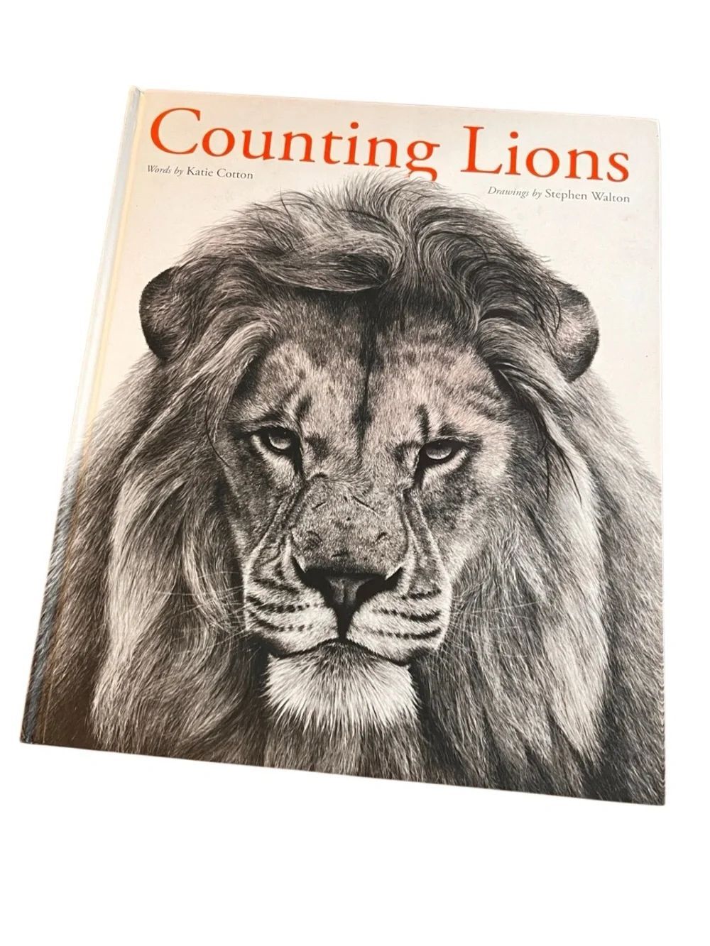 Counting Lions by Katie Cotton & Stephen Walton Hardcover Wildlife Picture Book